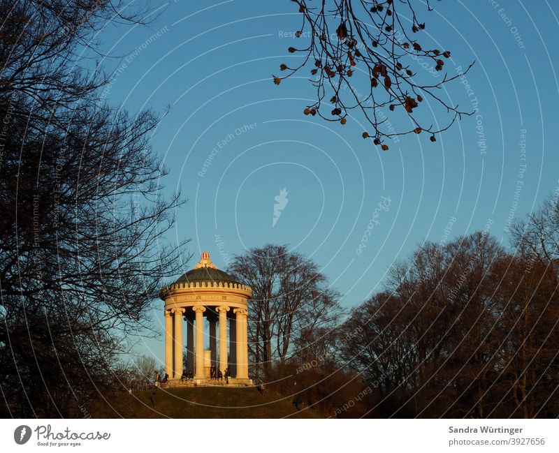 Monopterus/Tempel im Münchner Englischen Garten bei winterlicher Dämmerung München Englischer Garten Architektur Park Außenaufnahme Farbfoto grün schön Wiese