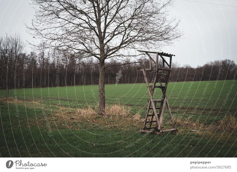 Hochsitz Jagd Jäger Natur Landschaft Außenaufnahme Farbfoto Wald Baum Holz Himmel Feld Wolken grün Jagen Pirsch Hütte Leiter Förster schießen Wildtier