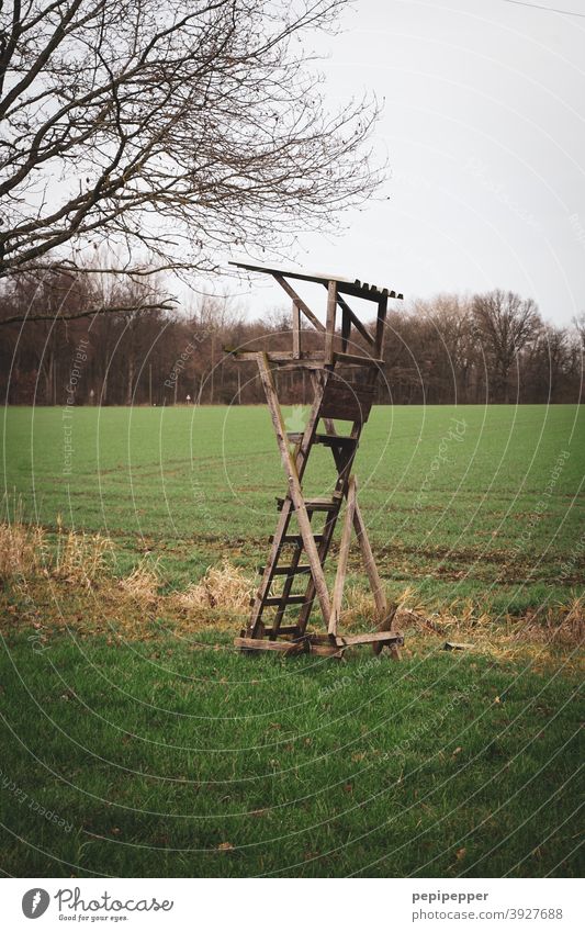 Hochsitz Jagd Jäger Natur Landschaft Außenaufnahme Farbfoto Wald Baum Holz Himmel Feld Wolken grün Jagen Pirsch Hütte Leiter Förster schießen Wildtier