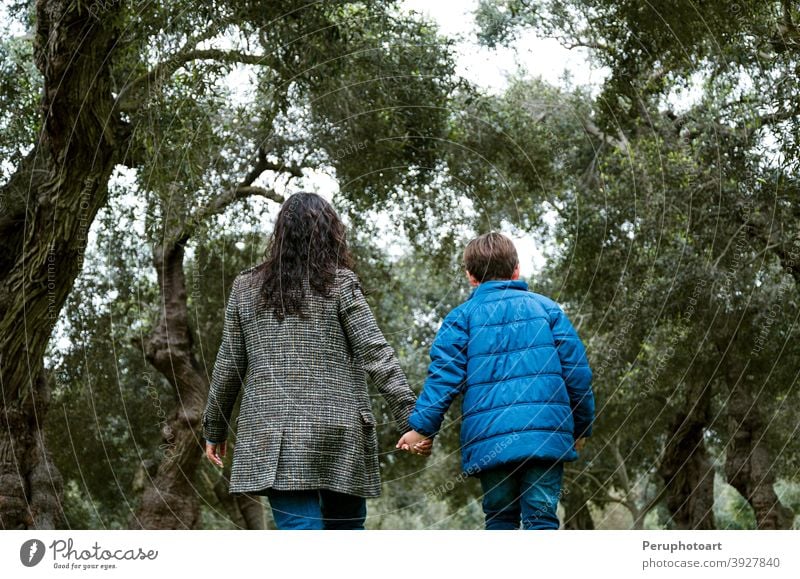 Mutter und Sohn halten sich an den Händen und gehen in einem Park Mama Familie Kind wenig Zusammensein Rücken Kindheit im Freien Eltern Menschen Lifestyle Liebe