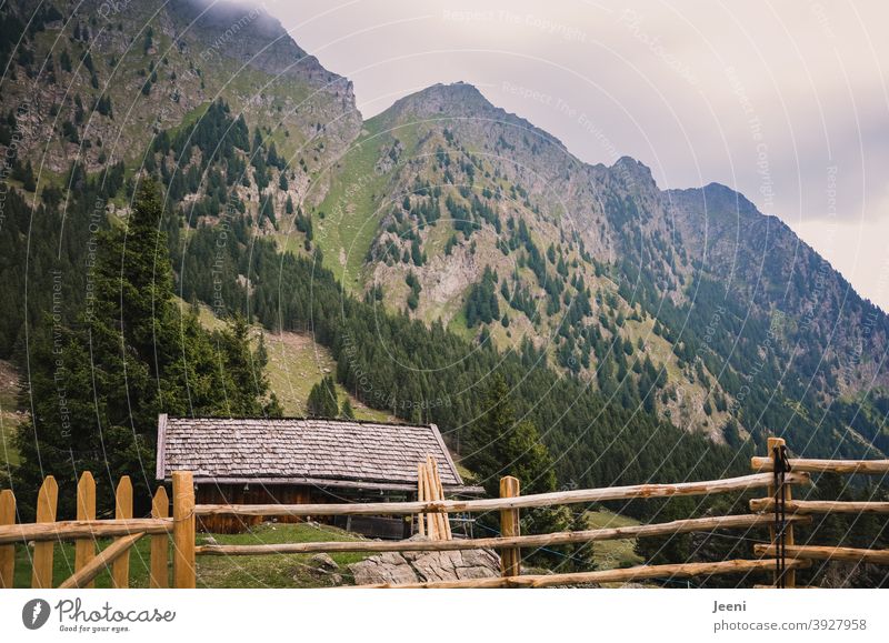 Wandern in den Alpen | Ausblick von der Alm auf den Aufstieg | wolkenverhangen und nebelig da oben Berge u. Gebirge Bergwiese Almhütte Himmel Wolken Nebel