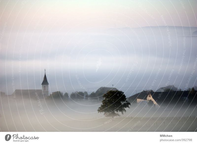 Morgen Wohnung Haus Urelemente Luft Wasser Nebel Baum Wiese Feld Dorf Kirche Gebäude Architektur Sehenswürdigkeit Wahrzeichen schlafen Romantik schön Hoffnung