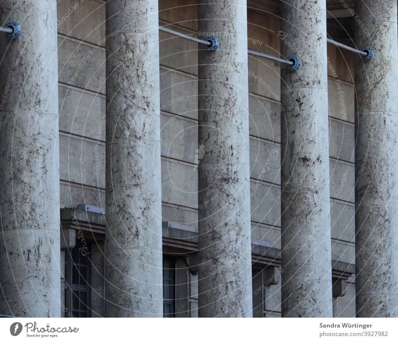 Graue Säulen, Haus der Kunst grau Winter Gebäude Detailaufnahme Architektur Menschenleer Außenaufnahme Bauwerk Farbfoto Fassade Wand Mauer Tag Fenster trist