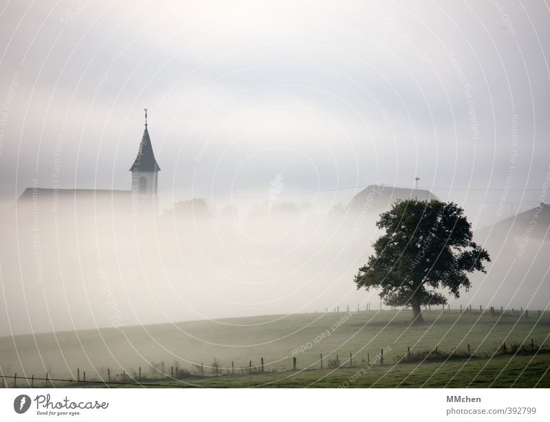 FrühSchicht Ferien & Urlaub & Reisen Tourismus wandern Natur Landschaft Herbst Nebel Baum Feld Dorf Haus Kirche schön grün Begeisterung Vertrauen friedlich Güte