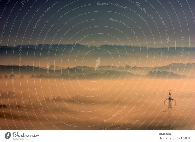 UeberSicht Tourismus Landschaft Himmel Frühling Herbst Wetter Nebel entdecken Unendlichkeit Eifel Strommast verstecken Baum Sträucher Panorama (Aussicht)