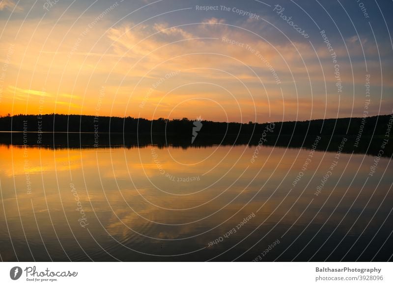 Sonnenuntergang - See - Wald Sonnenlicht Wolken Himmel Seeufer Wasser Reflexion & Spiegelung dunkel Abend atmosphärisch Deutschland Brandenburg Sommer Dämmerung