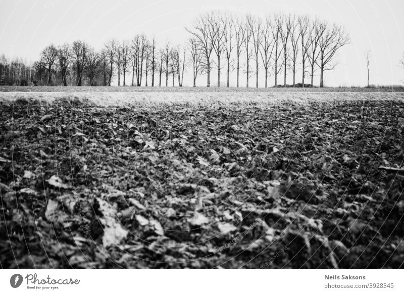 Gepflügt landwirtschaftlichen Bauernhof Feld Muster mit kahlen Bäumen im Hintergrund Boden Erde Himmel Ackerland Land Schmutz Ackerbau Agronomie Asien Herbst