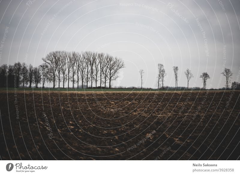 Gepflügt landwirtschaftlichen Bauernhof Feld Muster mit kahlen Bäumen im Hintergrund Boden Erde Himmel Ackerland Land Schmutz Ackerbau Agronomie Asien Herbst