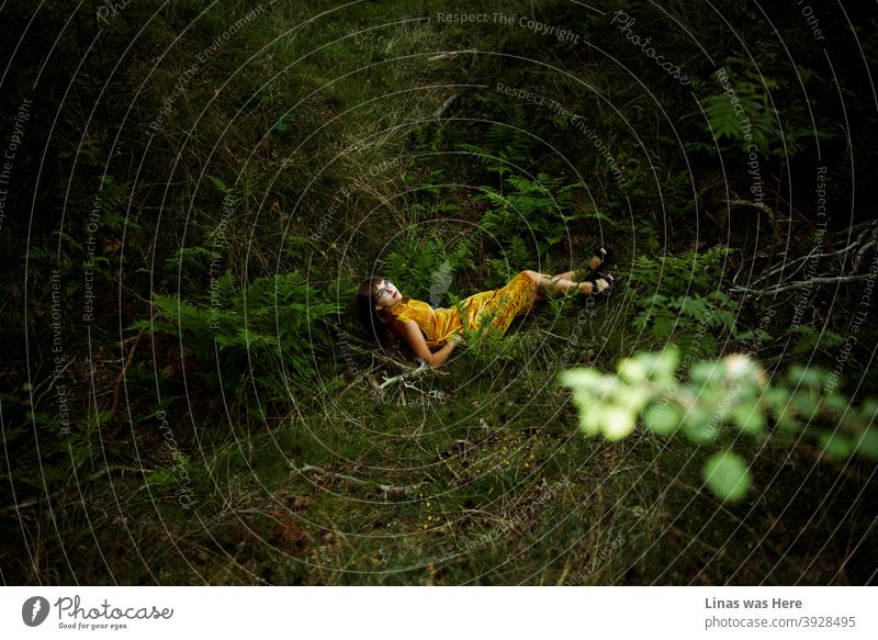 Verlorenes Mädchen mit einem goldgelben Kleid im Wald liegt bequem auf dem Boden. Grüne Farne, grünes Gras, grüne Blätter und grüne Natur, im Allgemeinen, umgibt diese junge und schöne Frau.