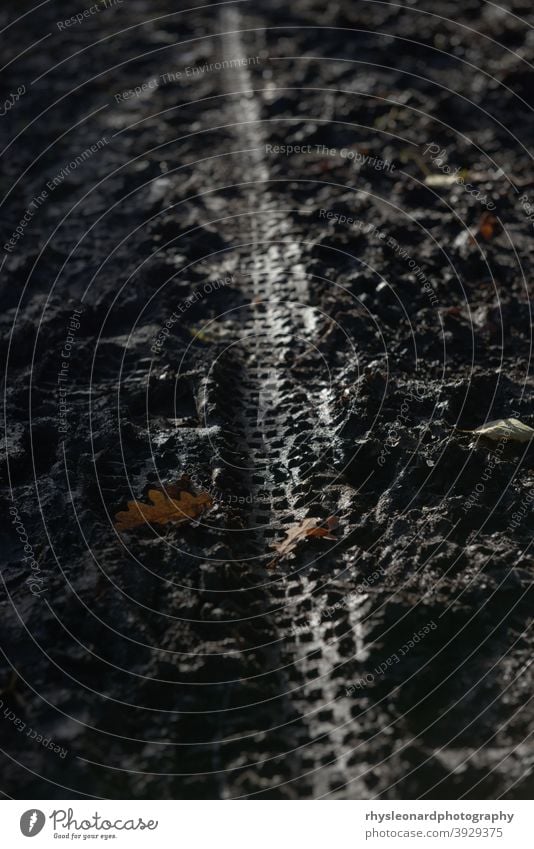 Vertikales Bild des Fahrradreifenprofils im tiefen Schlamm im Freien. Die Sonne hebt die Rille hervor, die sich durch das sumpfige Terrain geschnitten hat. Dunkles Bild auch mit Herbstlaub.