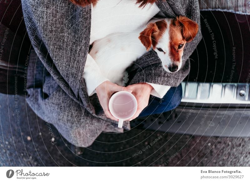 Junge Frau und niedlichen Jack Russel Hund im Auto. Wintersaison, verschneiten Berg Hintergrund Decke Natur Zusammensein Saison Fernweh Schönheit aktiv