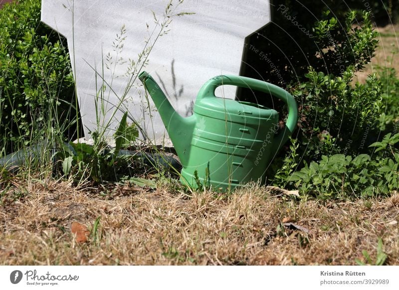 grüne gießkanne steht hinter einem grabstein friedhofsgießkanne rückseite gießen wässern beregnen gewässert hecke buchsbaum gras vertrocknet dürre trockenheit