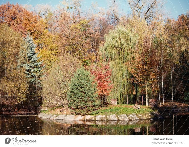 Herbst und bunte Bäume während eines sonnigen Nachmittags. Gelbe, orange, rote Blätter und auch einige grüne. Oktober oder November, es fühlt sich an, als käme der Winter, obwohl noch die Schönheit des Herbstes zu sehen ist.