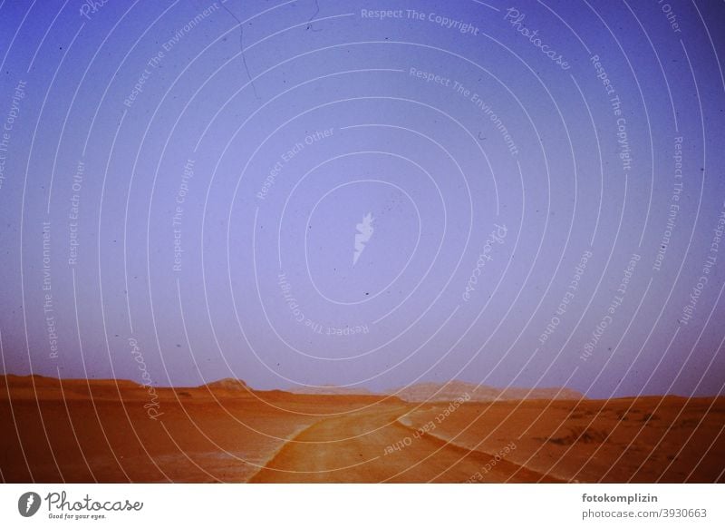Ab in die (Negev-)Wüste Wüstenweg Weg unendlich nichts Himmel Weite Ferne Wüstenberge Landschaft warm Natur im Freien Raum Umwelt Menschenleer Ruhe Stille weit