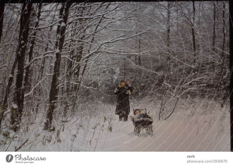 Wintervergnügen Mädchen Kind Kindheit Natur Scan Dia analog retro Frau Mutter Familie & Verwandtschaft Familienglück Winterurlaub Wald Rodeln Schlitten