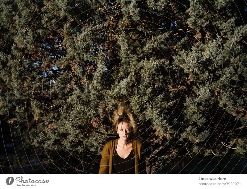 Ein Porträt dieses wunderschönen blonden Mädchens in der Mitte des Herbstes. Launische Natur ist rundherum und eine schöne Frau starrt direkt in die Kamera.