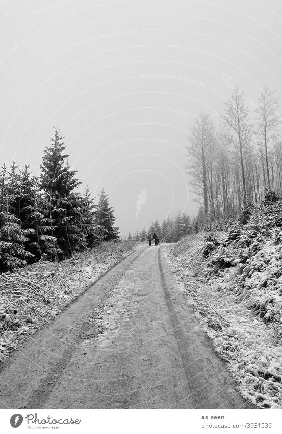 Verschneiter Weg Schnee Wald Winter Baum kalt Eis Frost Natur Außenaufnahme Landschaft weiß Umwelt Wetter Schneelandschaft Klima Winterstimmung Nebel