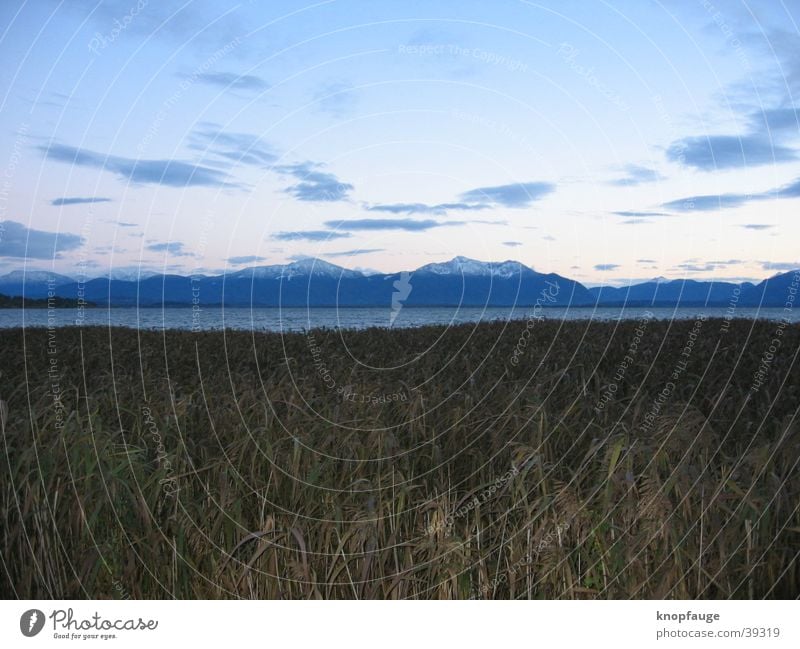 Ausblick Chiemsee Schilfrohr Wolken Bayern See Meer Horizont Ferien & Urlaub & Reisen Stimmung Dämmerung schön kalt Ferne Sonnenuntergang Berge u. Gebirge