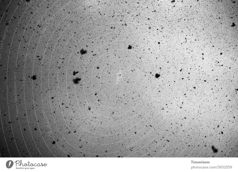 Erinnerungen an Schneefall Schneeflocken Außenaufnahme Winter kalt Menschenleer Schwarzweißfoto schwarz