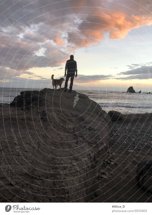 Mann und Hund stehen auf Felsen und schauen auf das Meer  bei Sonnenuntergang spain andalusia almeria nijar natural park cabo de gata dusk sunlight shining