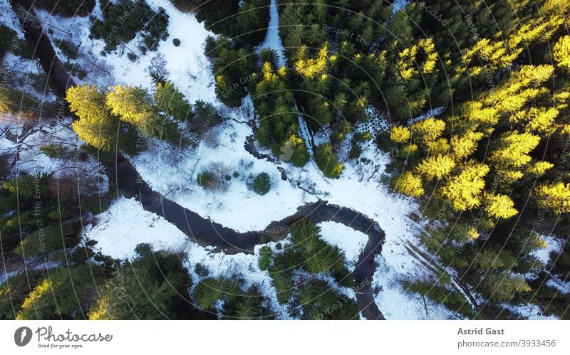 Drohnenfoto von einem Wald mit Bach im Winter mit Licht und Schatten drohnenfoto luftaufnahme wald bach bachlauf bäume landschaft winter schnee sonne licht