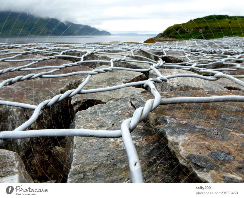 Uferbefestigung... Küstenschutz Stein Steinbrocken Maschendrahtzaun Befestigung festmachen Meer Gezeiten Fjord Natur Landschaft Umwelt Außenaufnahme Schutz