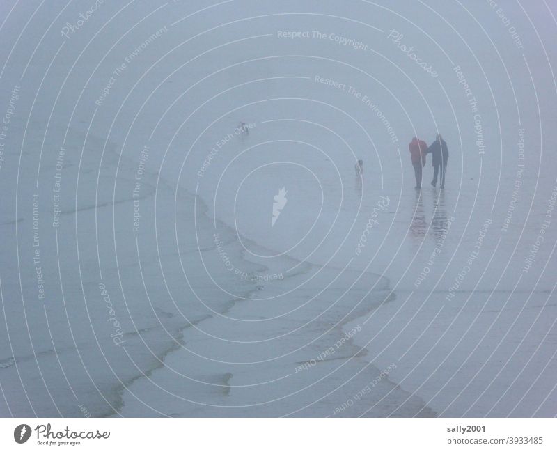 undurchsichtiger Strandspaziergang mit Hunden... Nebel Spaziergang spazierengehen Paar 2 Herbst neblig Winter Brandung Ufer Küste Meer einhaken einhängen Mensch