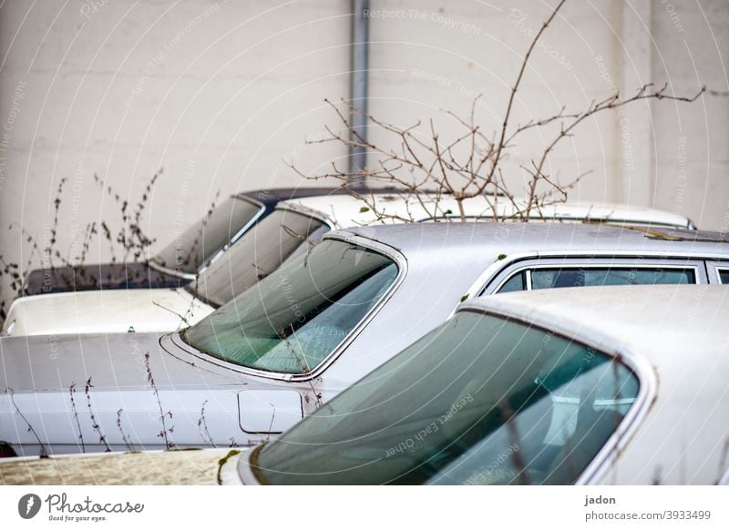 stellplatz. Auto Autofenster karroserie PKW Fahrzeug Menschenleer Schrott alt Verkehrsmittel Detailaufnahme retro kaputt Oldtimer Autowrack schrottreif Verfall