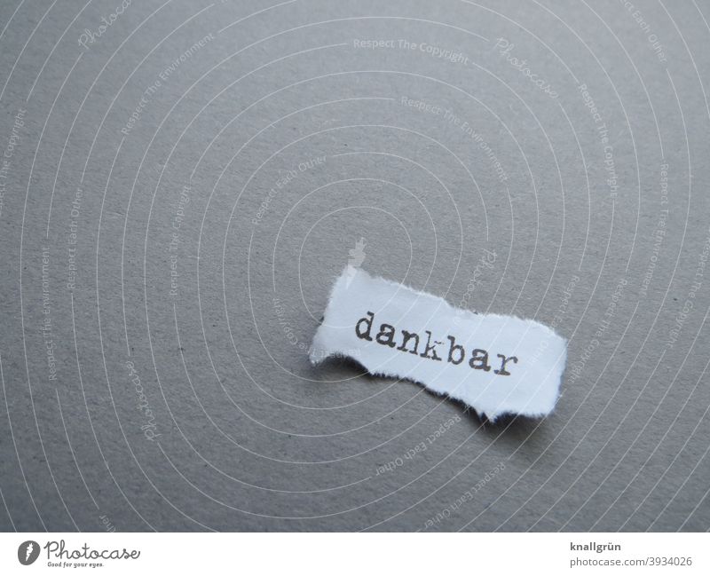 Dankbar dankbar demütig Gefühle Stimmung Zufriedenheit Erwartung Buchstaben Wort Satz Letter Text Lateinisches Alphabet Typographie Kommunikation Sprache