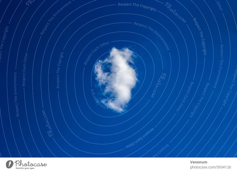 einzelne Wolke Cloud Himmel Astronomische Studien Draufsicht im Freien Natur Naturbeobachtung Wolkenfeld Gewitter Wolken-Sammlung Wolkenansammlungen