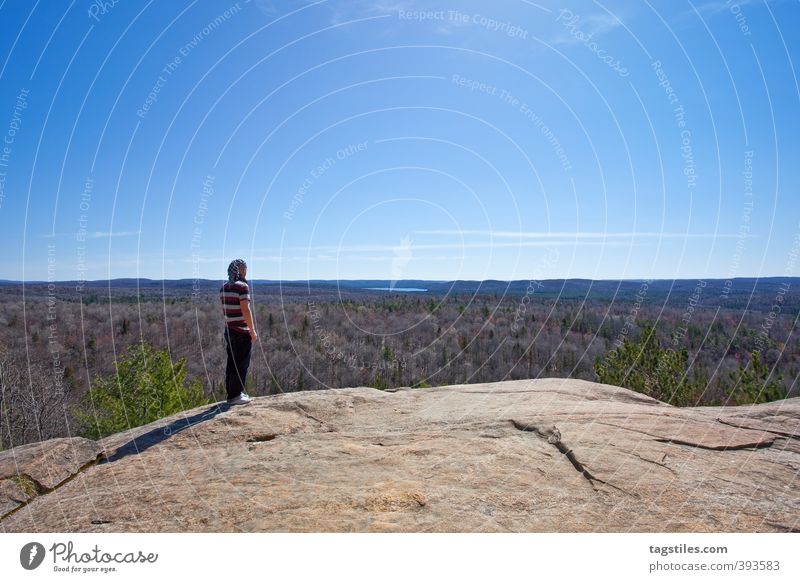 ALGONQUIN NATIONAL PARK, CA Kanada Ontario Amerika Nordamerika Mann Ferne Fernweh Ferien & Urlaub & Reisen Reisefotografie Felsen Unendlichkeit Natur Landschaft