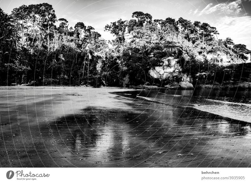 regenwald bako nationalpark Sarawak Borneo Malaysia Asien fantastisch exotisch außergewöhnlich Meer Bucht Strand Küste Wellen Felsen Baum Himmel Landschaft