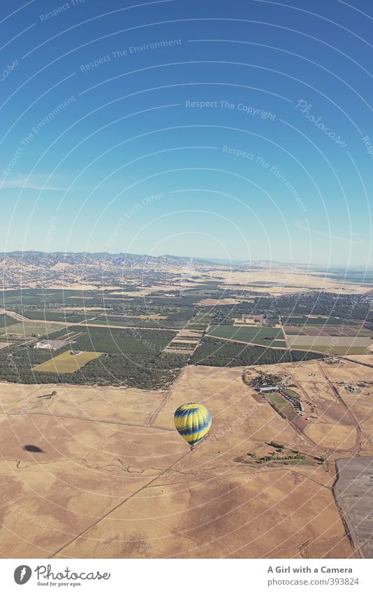 with ease Umwelt Natur Landschaft Erde Himmel Wolkenloser Himmel Sommer Wetter Schönes Wetter Wärme Feld Wald Unendlichkeit hoch rund blau mehrfarbig Horizont