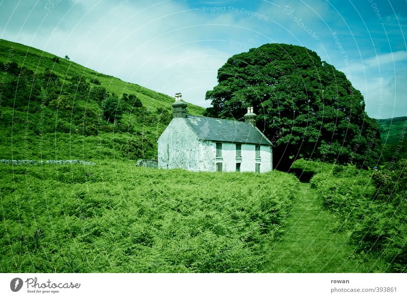 irish cottage 4 Umwelt Natur Landschaft Baum Sträucher Park Wiese Feld Wald Hügel Haus Einfamilienhaus Hütte Bauwerk Gebäude Architektur alt Republik Irland