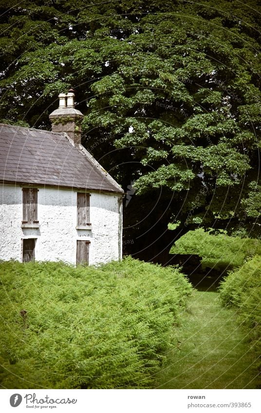 irish cottage 2 Umwelt Natur Landschaft Baum Gras Sträucher Garten Park Wiese Feld Dorf Haus Einfamilienhaus Bauwerk Gebäude Architektur Häusliches Leben