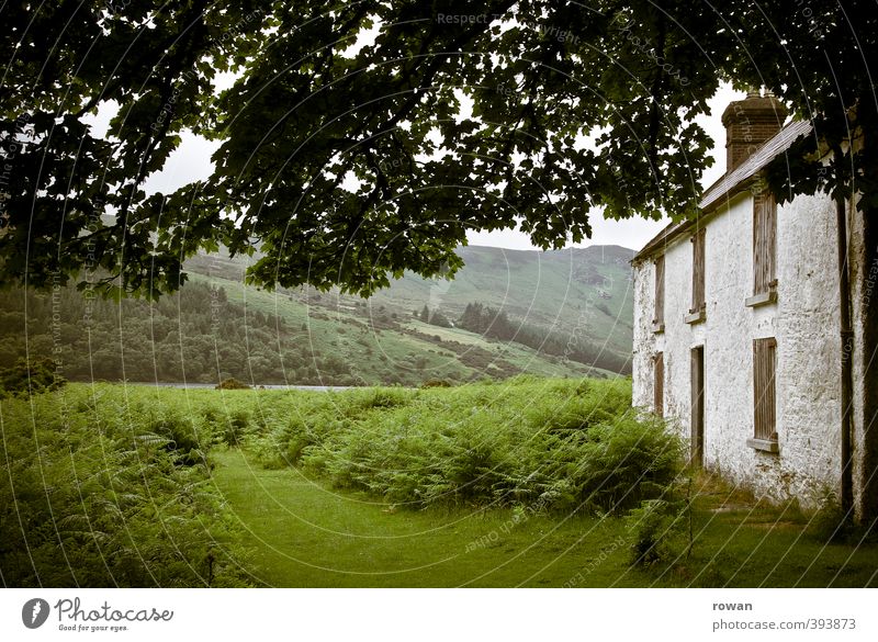 irish cottage Umwelt Natur Landschaft Baum Gras Sträucher Moos Garten Park Wiese Feld Hügel Berge u. Gebirge Haus Einfamilienhaus Hütte Bauwerk Gebäude