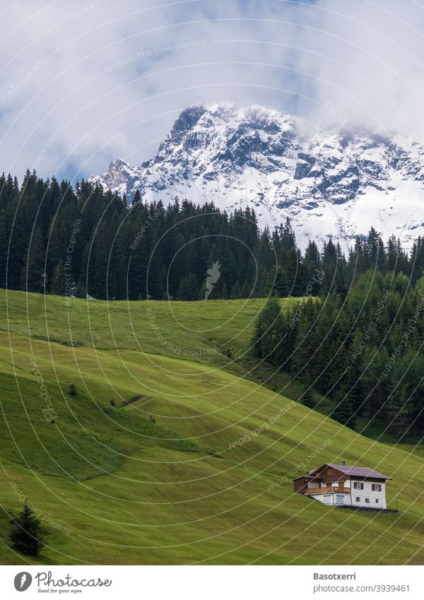 Wintereinbruch im sommerlichen Lech am Arlberg. Einsamer Berghof, Bergweide, Bergwald und das verschneite Karhorn. Gebirge Alpen alpin Juli Sommer Heuernte