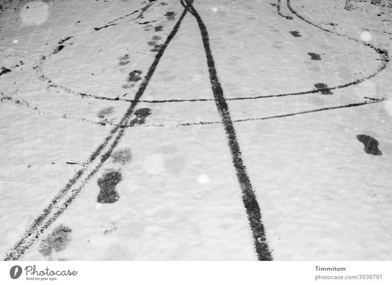 Einige Schneeflocken sowie Spuren von Radfahrern und Fußgängern auf schneebedecktem Weg Schneefall Winter kalt Fahrradfahren Natur weiß schwarz Schwarzweißfoto