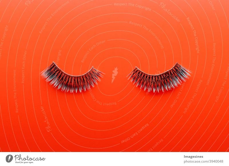 Schwarze falsche Wimpern. Dekoratives Element der Wimpern für Augen lokalisiert auf rotem Hintergrund mit Kopienraum isolated roter Hintergrund copy space