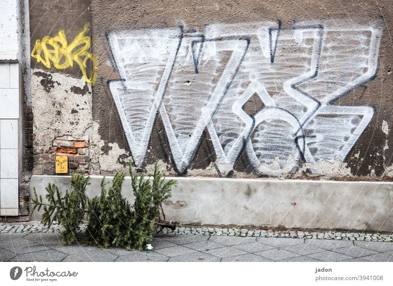 knut kann kommen. Weihnachtsbaum Knutfest Weihnachten & Advent Weihnachtsdekoration Tannenbaum ausgedient Graffiti Christbaum Feste & Feiern Vorfreude Straße