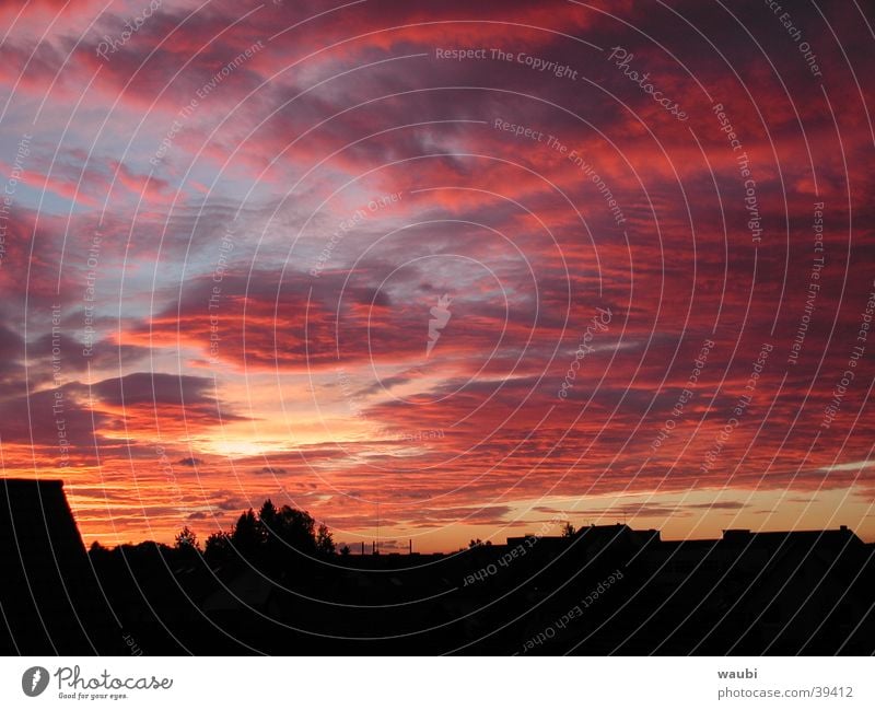 Abendrot Abendsonne Wolken Himmel Wolkenfeld Wolkendecke Roter Himmel beeindruckend außergewöhnlich Silhouette leuchtende Farben Sonnenuntergang Wolkenhimmel