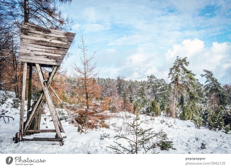 Hochsitz in winterlicher Landschaft Jagd Jäger Natur Außenaufnahme Farbfoto Wald Baum Holz Himmel Feld Wolken grün Jagen Pirsch Hütte Leiter Förster schießen