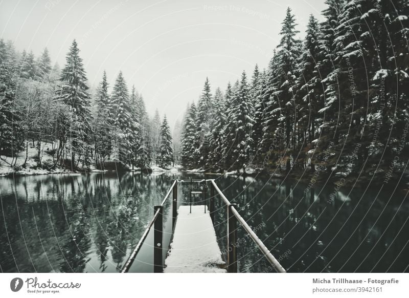 Waldsee im Winterkleid Pfanntalsteich Oberhof Thüringen Thüringer Wald See Wasser Schnee Steg Bäume Geländer Spiegelungen Reflexion & Spiegelung Natur