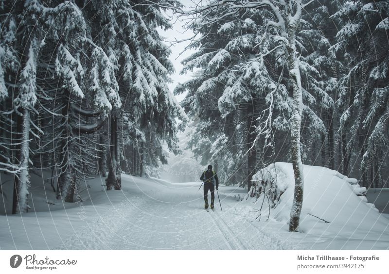 Skilaufen im verschneiten Wald Thüringen Thüringer Wald Rennsteig Schnee Winter Wintersport Skisport Langlauf Skilanglauf Loipe Frost schneebedeckt Urlaub