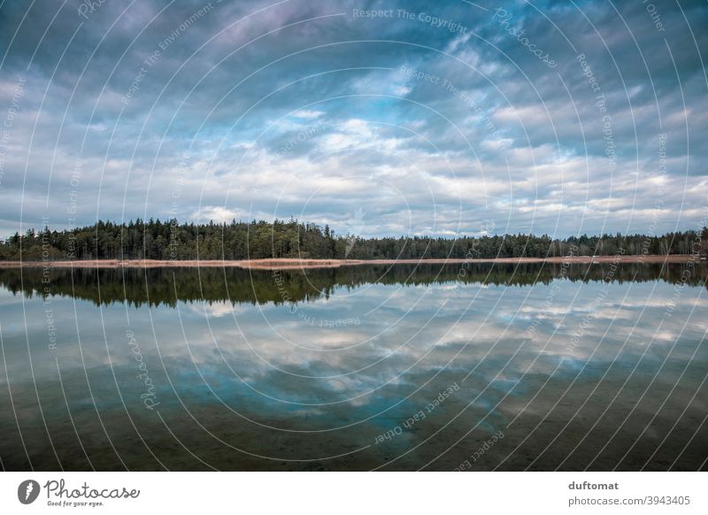 Seeufer Spiegelung Waldrand Reklektion Wasser Spiegelung im Wasser Reflexion & Spiegelung Natur Menschenleer Außenaufnahme ruhig Landschaft Himmel Wolken Umwelt