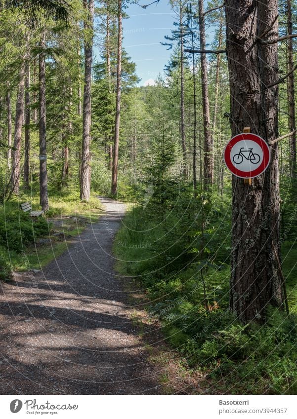 Fahrradverbotsschild auf einem schmalen Weg im Wald MTB Mountainbike mountain bike Berg Pfad Wege & Pfade eng niemand Menschenleer Wanderer Konflikt Ärger