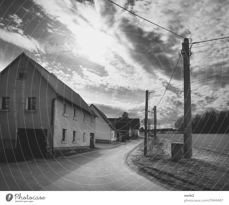 Nebenstraße Dorf Straße Bürgersteig Sonnenlicht Schwarzweißfoto Stille friedlich Asphalt Dorfstraße Himmel Baum Gebäude Haus Panorama (Aussicht) Gegenlicht