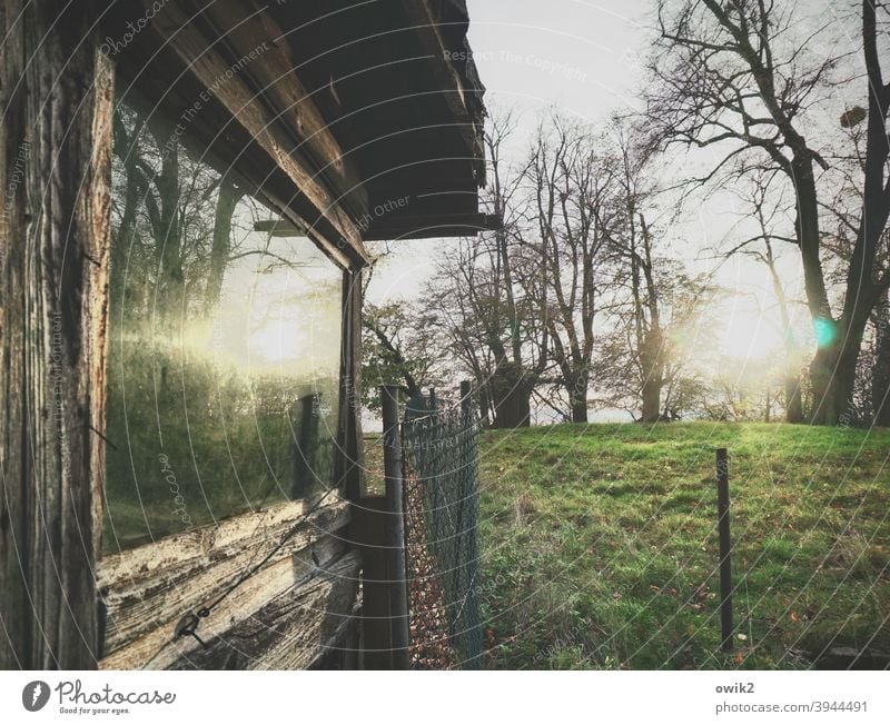 Am Zaun Garten Fenster Wiese Bäume Spiegelung Häuschen Glas Schuppen Gras Sonne Natur Sonnenlicht Farbfoto Abend Reflexion & Spiegelung Zaunpfahl Landschaft