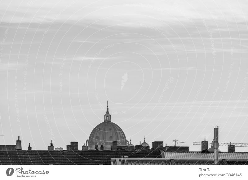 Skyline Berliner Dom s/w Schwarzweißfoto Architektur Hauptstadt Stadt Stadtzentrum Außenaufnahme Menschenleer Tag Bauwerk Gebäude Altstadt Haus Altbau