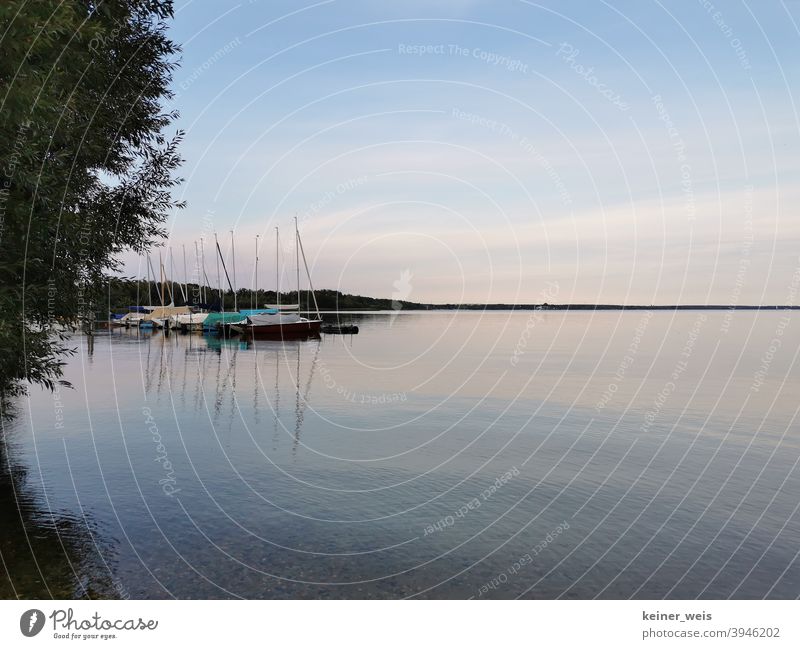 Segelboote ankern still im Senftenberger See bei der Gartenstadt Marga, Stadtteil von Senftenberg in Brandenburg Boote Hafen Bucht Wasser DDR Kohlebau Bergbau